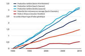 rencontre recherche ruminant 2013