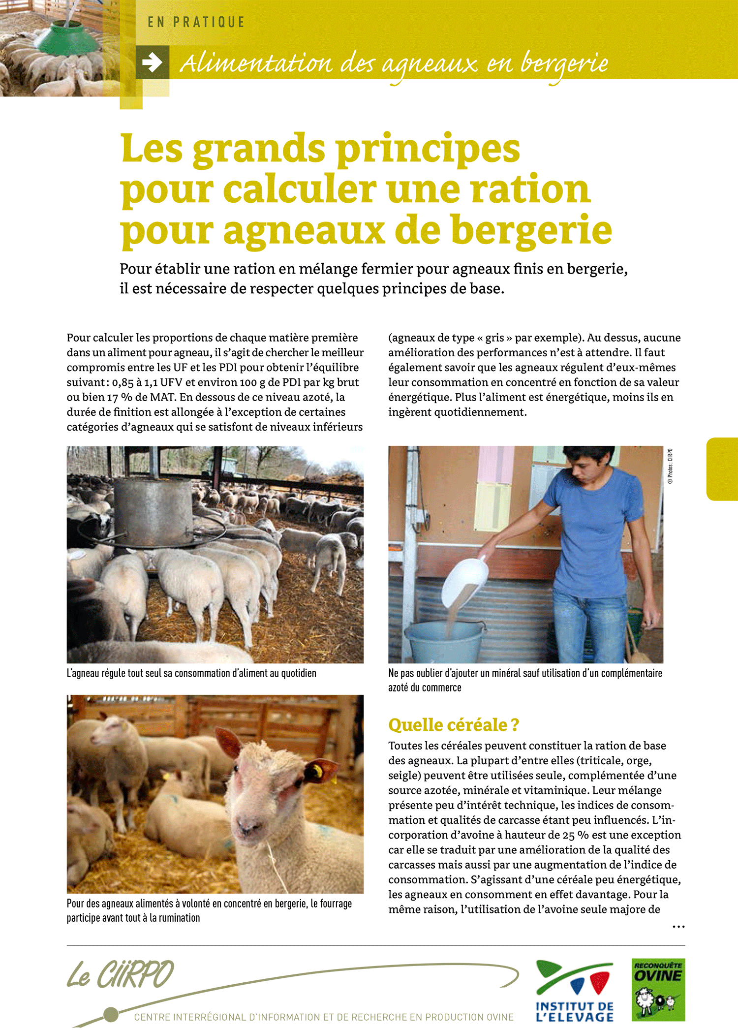 Logiciel Calcul Ration Bovin