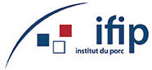 Logo Ifip