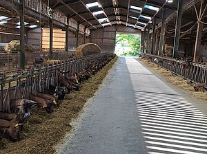 Ajustement de la ration en fonction de la production