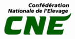 Logo CNE