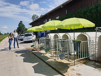 Le bien-être animal est une préoccupation permanente (ici les niches à veaux)