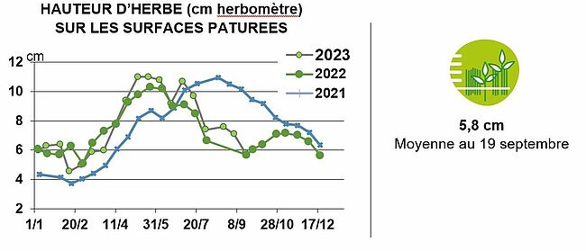 Au fil de l'herbe