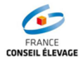 Logo FCE