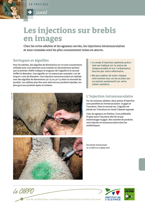 Carence En Sélénium Chez Le Veau csm_CR-1239040-fiche-ciirpo-injections-brebis-sur-images_208dfece23.png
