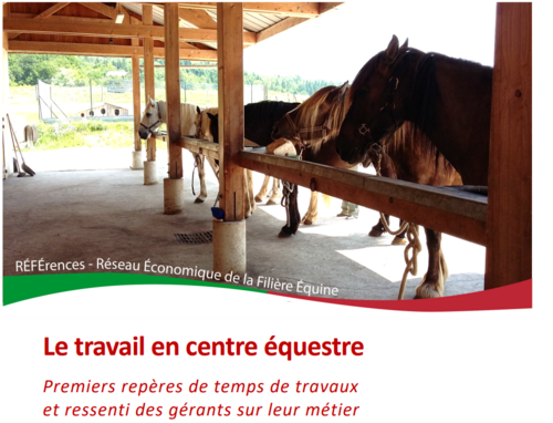 Se former aux métiers du cheval : quelques repères