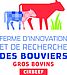 RVB_-_logo_carre_Ferme_Bouviers-CIRBEEF.jpg