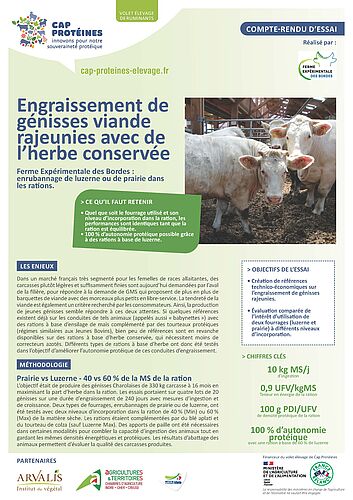 Engraissement de génisses viande rajeunies avec de l’herbe conservée