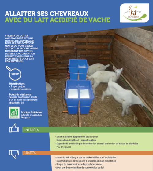 Lait de chèvre : atouts, consommation, conservation
