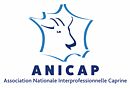 Logo Anicap