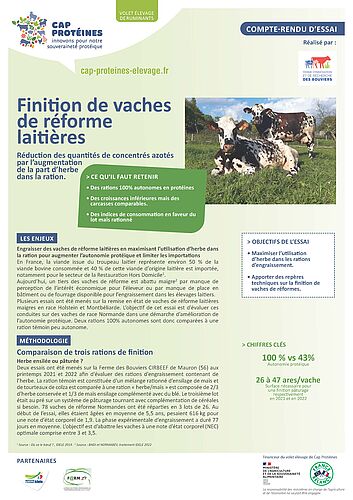 Finition de vaches de réformes laitières