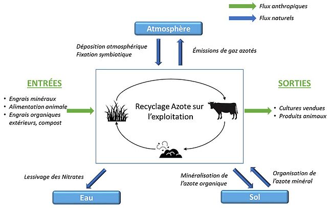 Capacité de t/h de la chaîne de production d'engrais organique de déchets  d'engrais d'oiseau de poulet 1 - 50