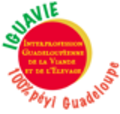 Logo Iguavie