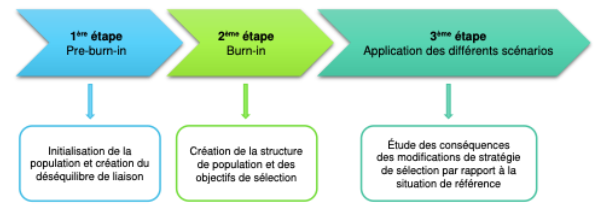 Figure 1 : Les différentes étapes pour les travaux par simulation